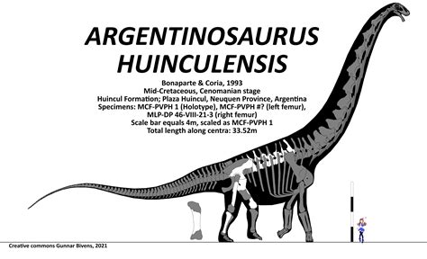 Argentinosaurus appreciation post | Fandom