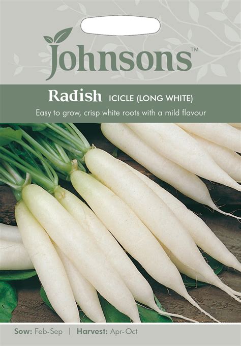 Radish Seeds 'Icicle' Long White by Johnsons - kazco.co.uk