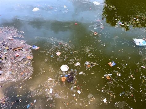 Premium Photo | Plastic garbage is swimming on rhe water surface ...