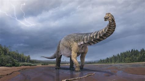 Silk Road titanosaur fossils discovered in Xinjiang – RayHaber | RaillyNews