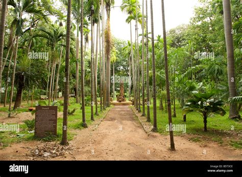 The Botanical Gardens in Pondicherry India Stock Photo - Alamy