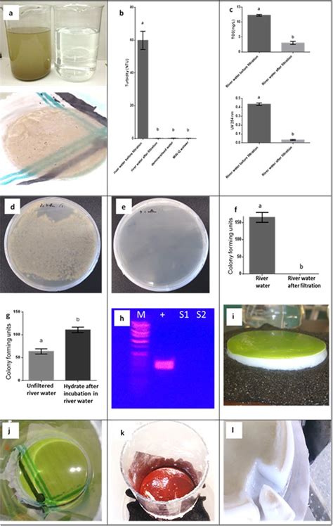 Various examples of hydrate filtration, including water quality and... | Download Scientific Diagram