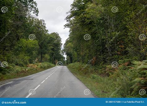 Country drive stock photo. Image of lush, travel, foliage - 280157588