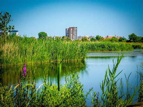 ENGLAND: Exploring the London Wetland Centre