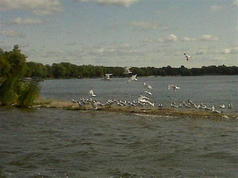 Clearwater Lake, Annandale, MN | Clearwater lake, Clear water, Lake