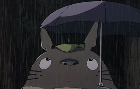 totoro gif on Tumblr