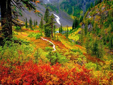 Stunning Fall Landscape: HD Wallpaper of Nature's Vibrant Colors