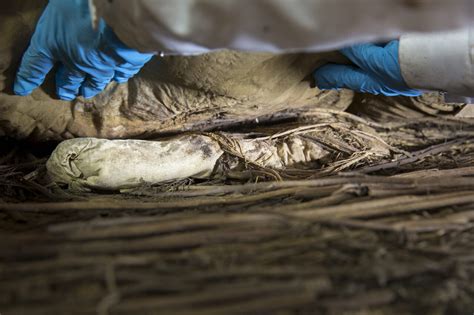 The Mystery of the Mummified Bishop and the Fetus in His Coffin - Atlas Obscura