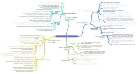 Causes of Prejudice & Intergroup Conflict (Social Identity Theory…