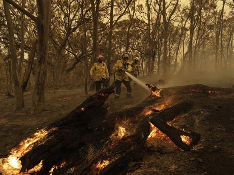 More homes lost in fires in NSW southeast | The Canberra Times | Canberra, ACT