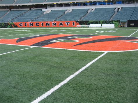 CINCINNATI BENGALS STADIUM | Turfgrass