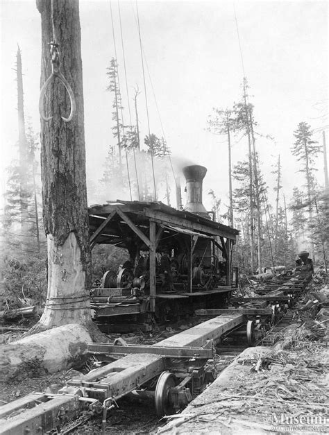 Steam donkey near Menzie's Bay | Campbell River Museum - Online Gallery