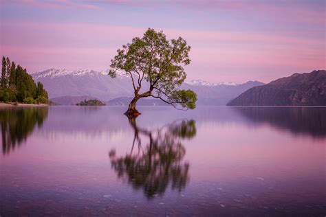 Lake Wanaka - The Alone Tree, New Zealand