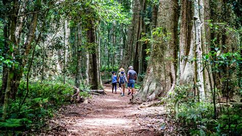 Bunya Mountains mountain bike tracks to be constructed by Common Ground Trails | The Courier Mail