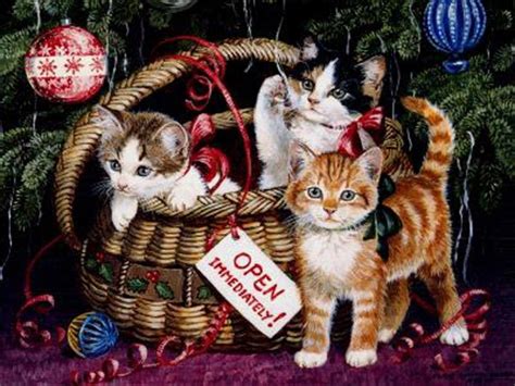 Christmas Kitten Wallpapers - Wallpaper Cave