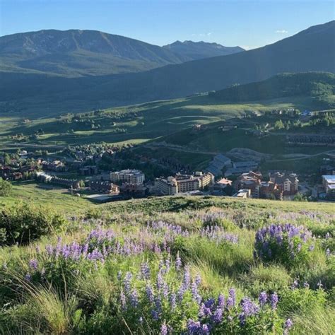 Home | Crested Butte Wildflower Festival