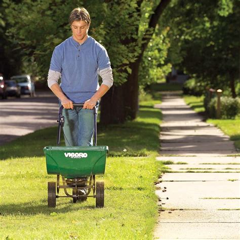 How to Get Rid of Crabgrass: A Step-by-Step Guide | Reader's Digest