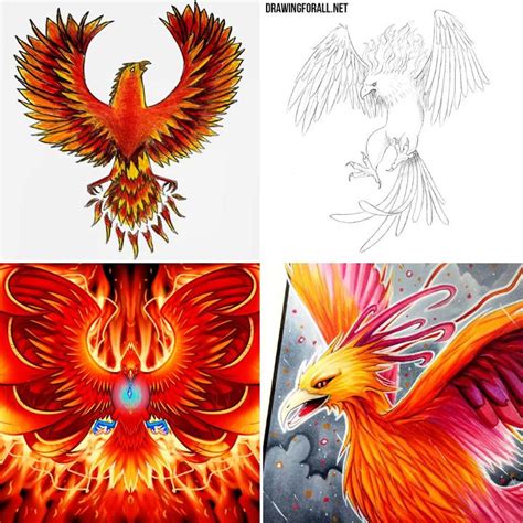 15 Easy Phoenix Drawing Ideas - How to Draw a Phoenix