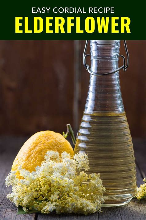 Elderflower Cordial is This Year's Hottest Cocktail Trend | Cordial recipe, Hot cocktails ...