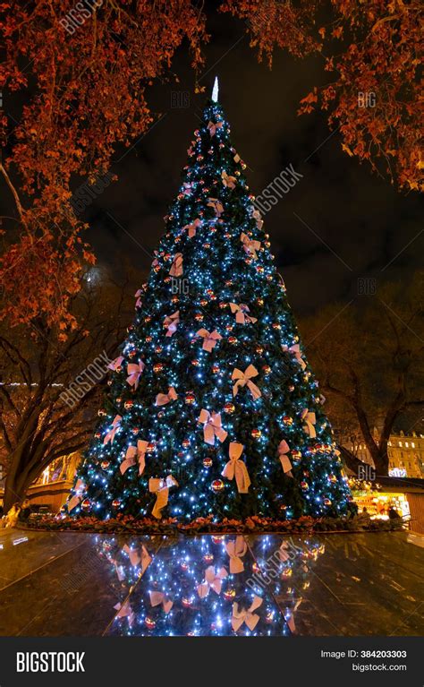 Christmas Tree Vienna Image & Photo (Free Trial) | Bigstock