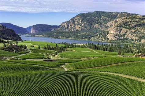 The Okanagan: British Columbia’s Vine Valley | The Grapevine Magazine