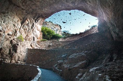 10 AMAZING Facts About Carlsbad Caverns National Park