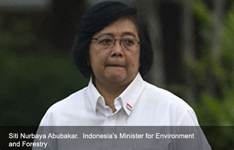 Siti Nurbaya Bakar, Minister of Environment and Forestry in Jokowi’s Working Cabinet - TFCA Sumatera