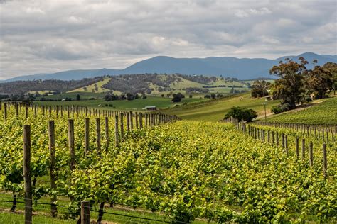 Yarra Valley Food and Wine Tour with Lunch from Melbourne 2021