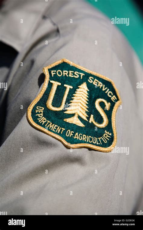 US Forest Service Patch Stock Photo - Alamy