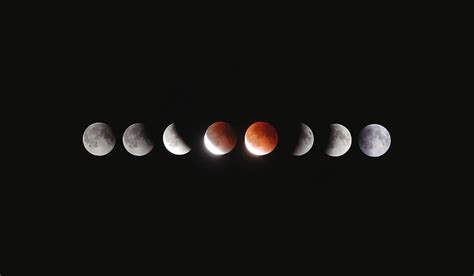 Online crop | HD wallpaper: solar eclipse, phase of the moons, blood moon, space, science ...