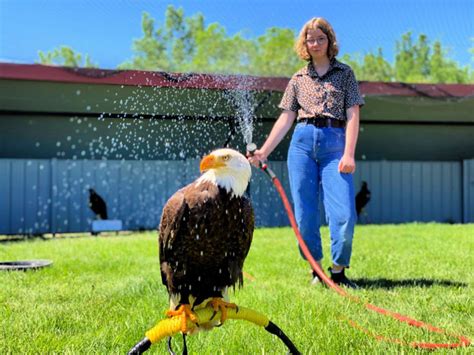 Things To Do In Southern Alberta: 6 Amazing Activities