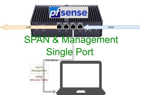 Port Mirror (SPAN) and management on a single physical port