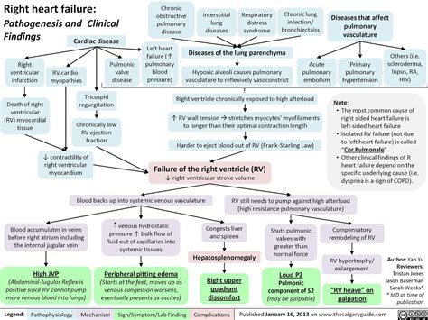 Adult Emergency Medicine: July 2015