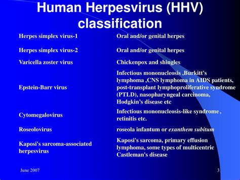 PPT - Herpesviridae PowerPoint Presentation, free download - ID:685407