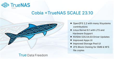 TrueNAS SCALE Cobia Has Reached BETA