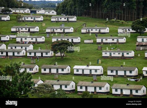 KENYA Kericho, tea plantation, housing colony for tea worker Stock ...