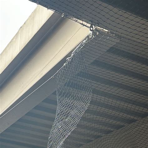 Bird Netting Installation in Los Angeles | RayAccess, Inc.