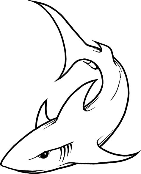 Nurse Shark Drawing at GetDrawings | Free download