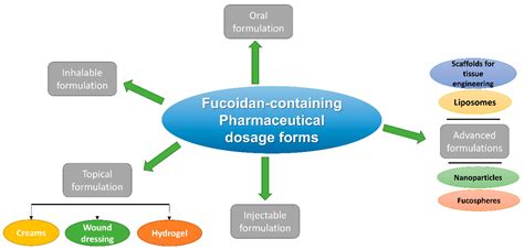 Fucoidan in Pharmaceutical Formulations: A Comprehensive Review for Smart Drug Delivery Systems ...