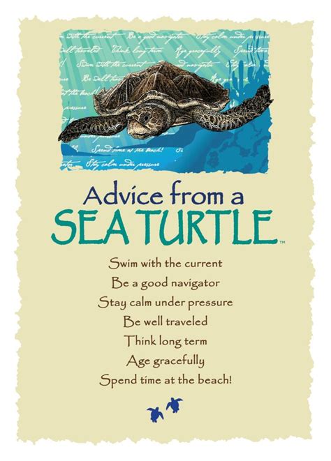 Advice from a Sea Turtle Greeting Card | Turtle quotes, Sea turtle, Turtle