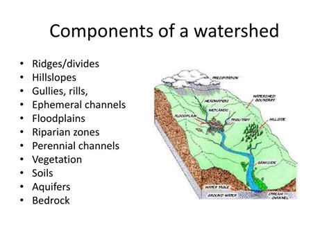 PPT - Watershed Geomorphology PowerPoint Presentation, free download ...