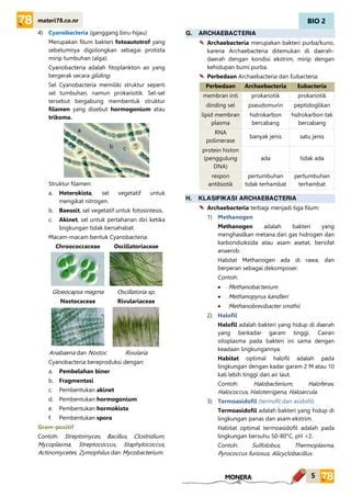 MATERI Monera KELAS X SMA | PDF