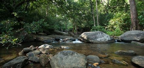 Neyyar Wildlife Sanctuary Thiruvananthapuram District- About Neyyar ...