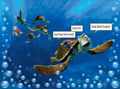 Turtle From Nemo Quotes. QuotesGram