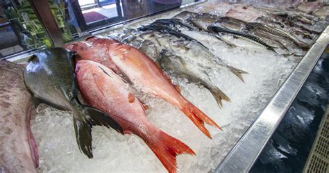 $280 Million Fish Imports into Nigeria in one Year Regardless of Import Restraints | New Africa ...