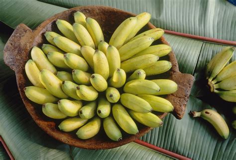 A Guide to 6 Different Types of Bananas