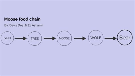 Moose food chain by Eli Davis Ashanin Deal on Prezi