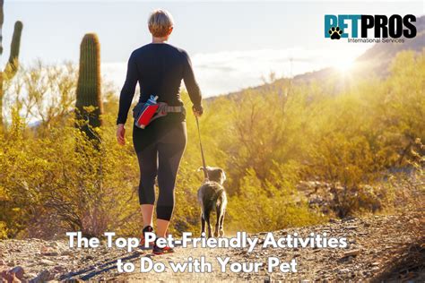 The Top Pet-Friendly Activities to Do with Your Pet - Pet Re-homing | Pet Adoptions | Pet Taxi ...