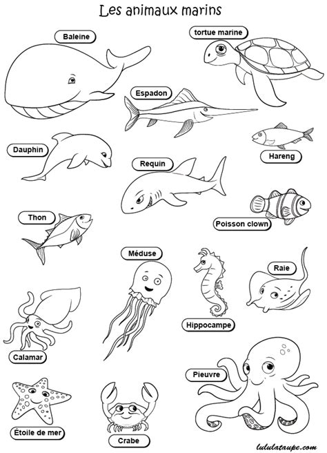 Imagier, Les Animaux Marins | Imagier Animaux, Coloriage à Coloriage ...