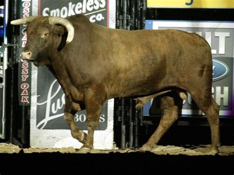 10 Things You Didn't Know About PBR